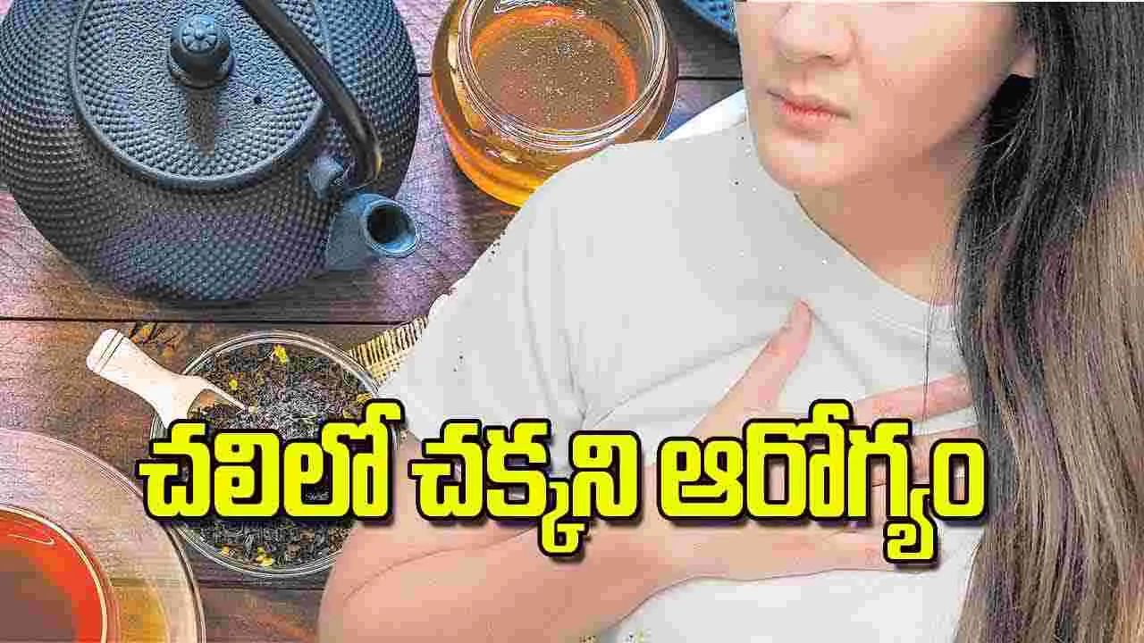 Ayurvedic Tips to Boost Immunity in Winter: చలిలో చక్కని ఆరోగ్యం