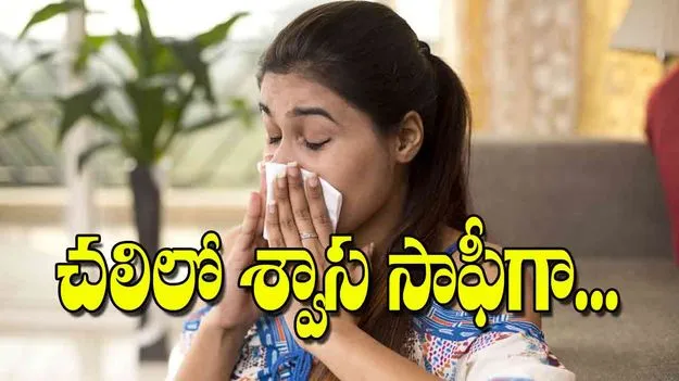 Winter Lung Care Tips: చలిలో శ్వాస సాఫీగా...