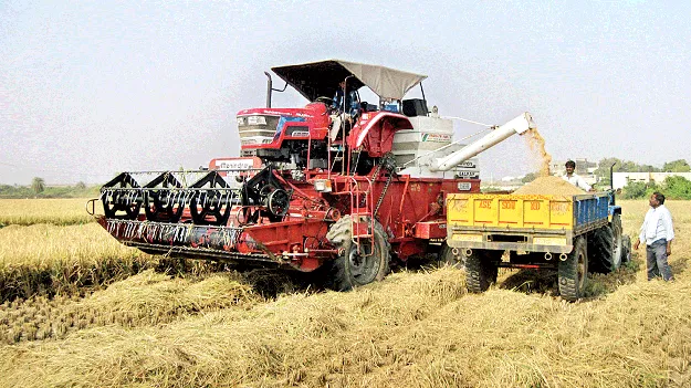 దిగుబడి భళా..ధర డీలా