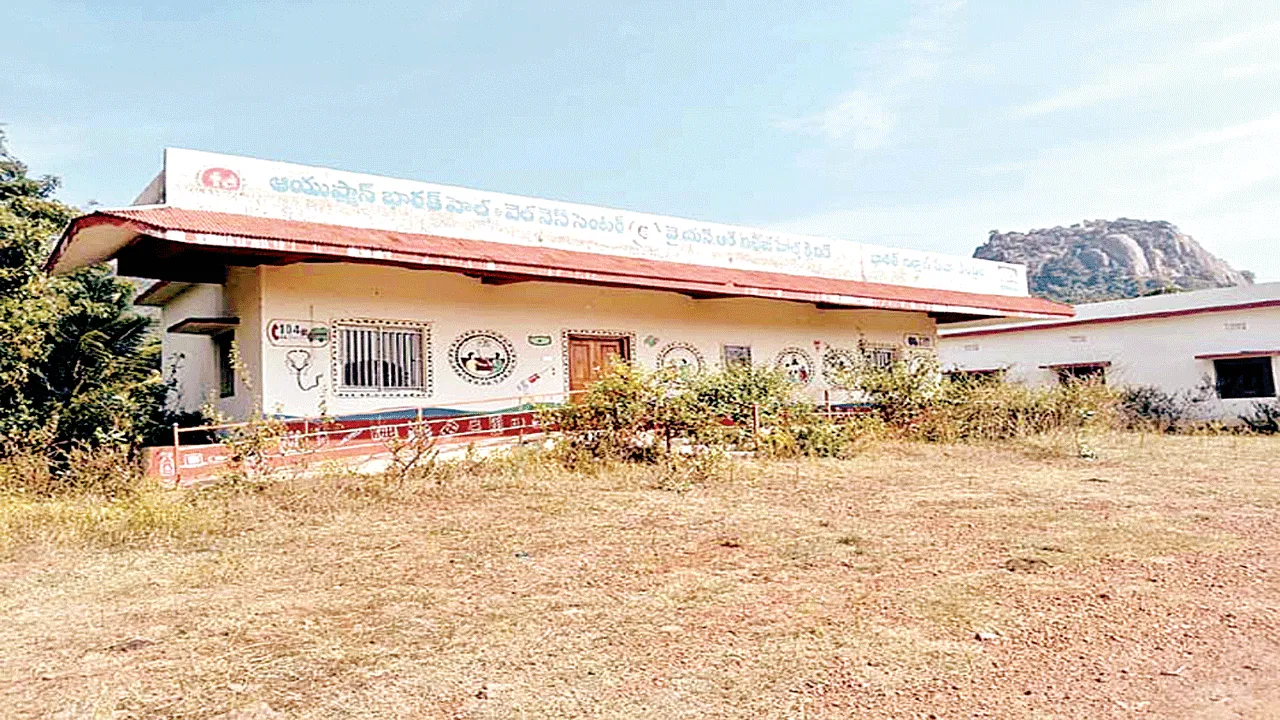 పర్యవేక్షణ లేక.. పిచ్చిమొక్కలు పెరిగి