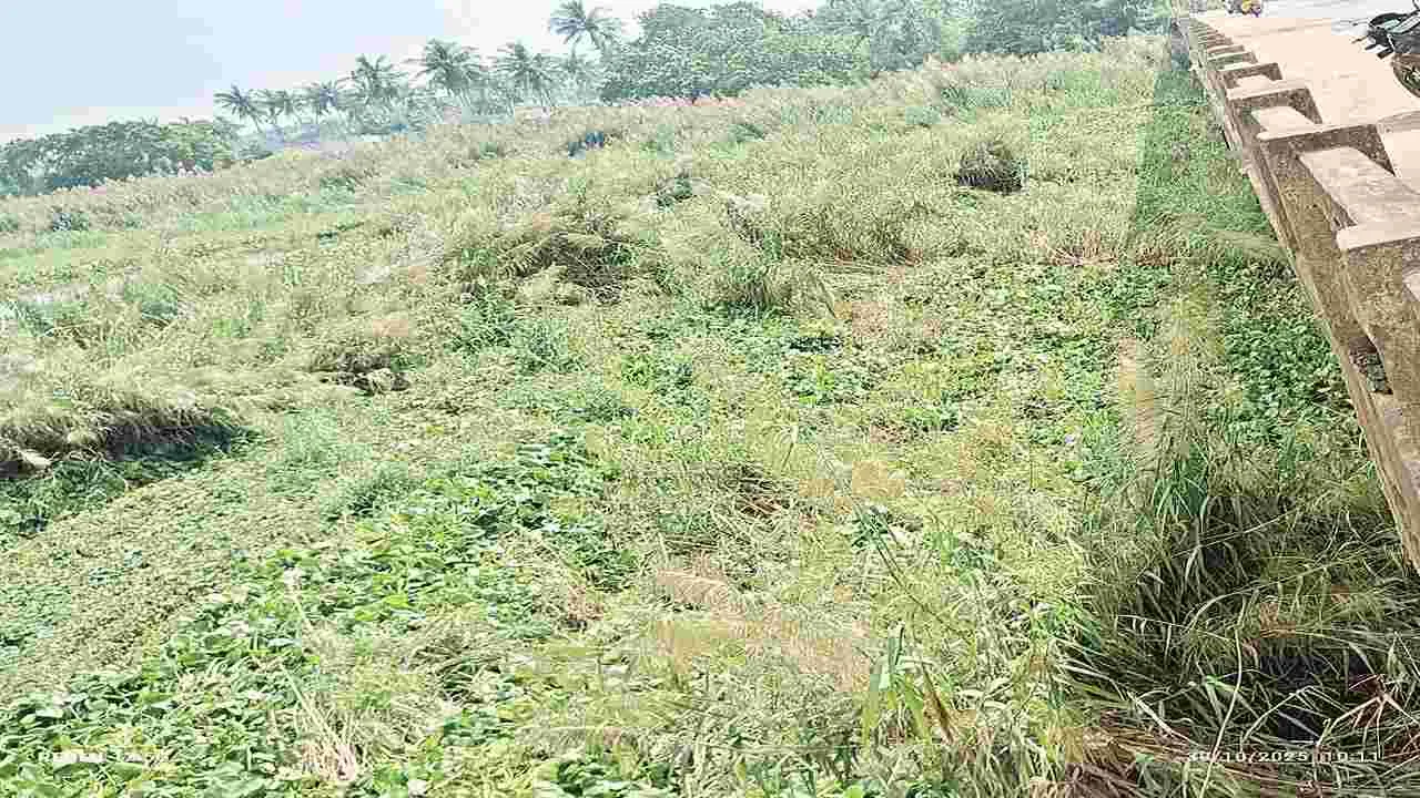  సాగునీటికి..మహర్దశ