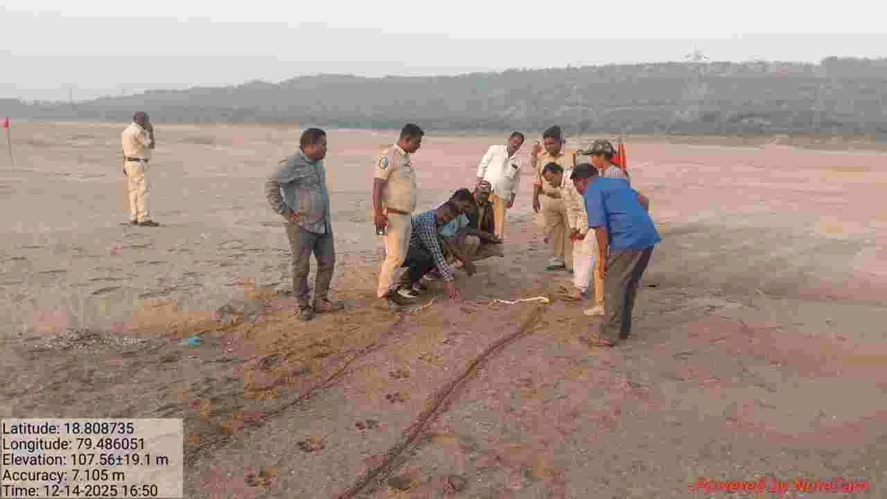 మేడిపల్లి ఓపెన్‌కాస్టులో పులి సంచారం