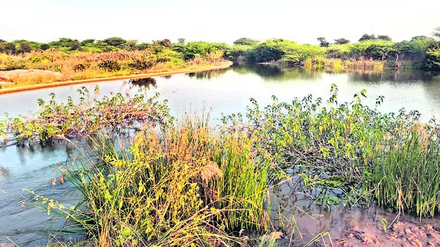 FARMERS: వంతెన నిర్మాణంతో రైతుల్లో ఆందోళన