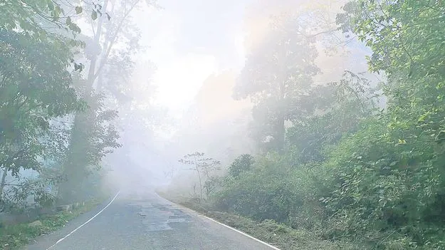 గుబులు పుట్టిస్తున్న ఘాట్‌ ప్రయాణం! 