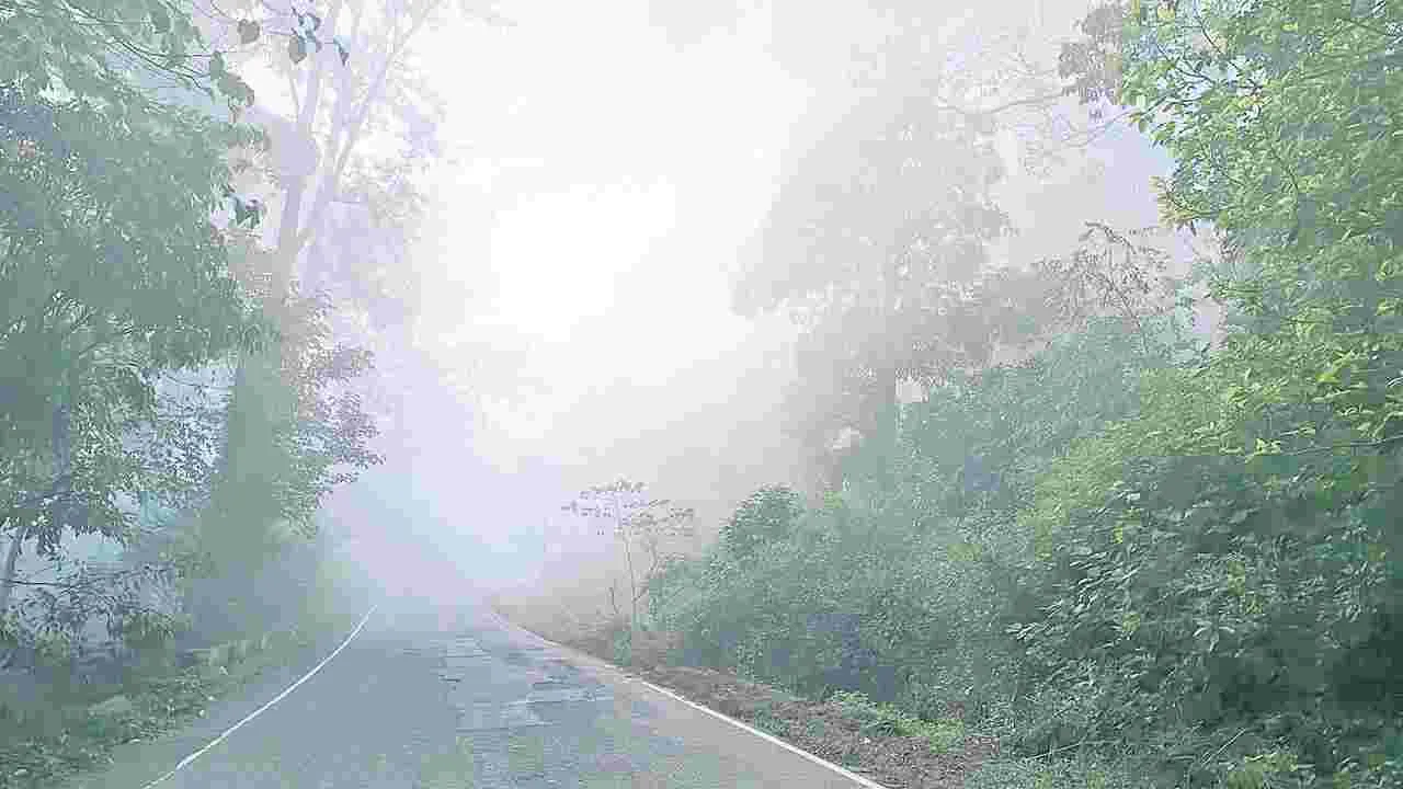 గుబులు పుట్టిస్తున్న ఘాట్‌ ప్రయాణం!