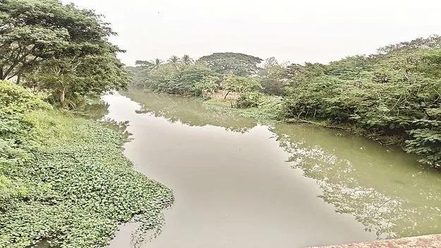 రబీ సాగునీటికి ఢోకా లేనట్టే!