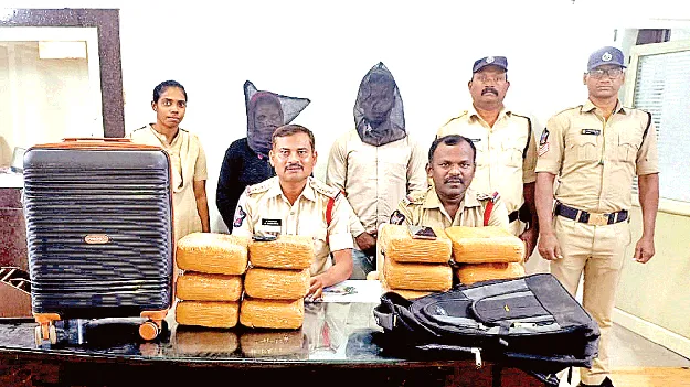 ముంబైకి గంజాయి తరలిస్తూ..