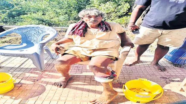 వీధి కుక్కల దాడి