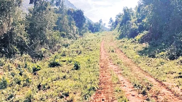 వాక రోడ్డుకు గ్రీన్‌ సిగ్నల్‌