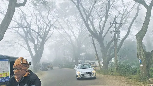 మన్యం గజ గజ