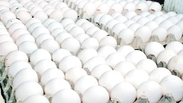 వెరీ..వెరీ.. గుడ్డూ!