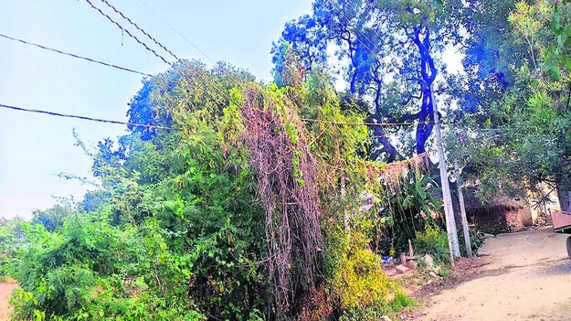 WIRES: ఇలా ఉంటే ఎలా?