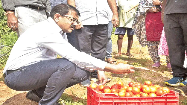 లాభదాయక పంటలను సాగు చేయాలి