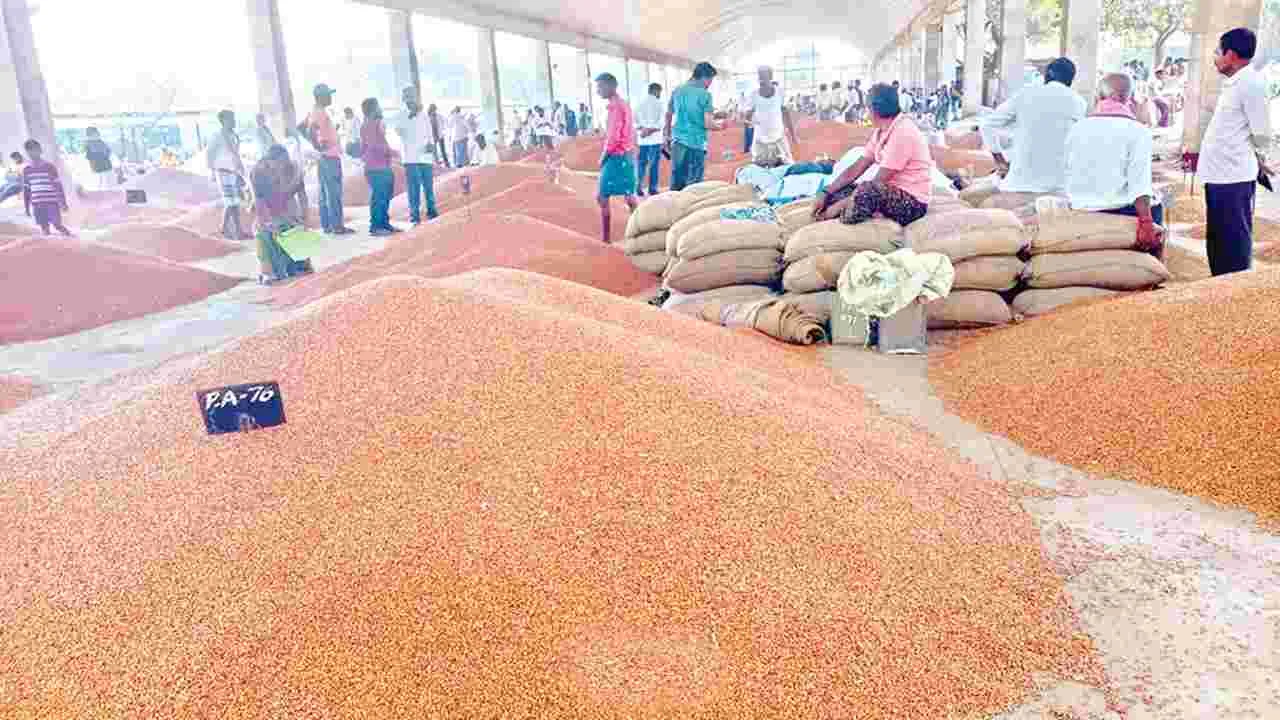 కందుల కొనుగోళ్లకు గ్రీన్‌ సిగ్నల్‌