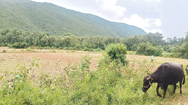 Integrated Steel Plant in Kella కెల్లలో ఇంటిగ్రేటెడ్‌ స్టీల్‌ప్లాంట్‌