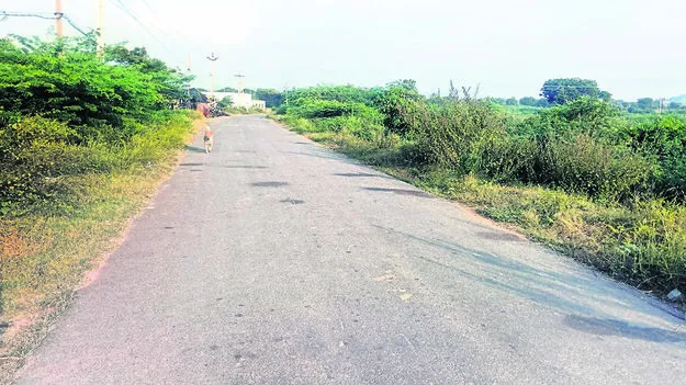 ROAD: రోడ్డును ఇరువైపులా కప్పేసిన గడ్డి
