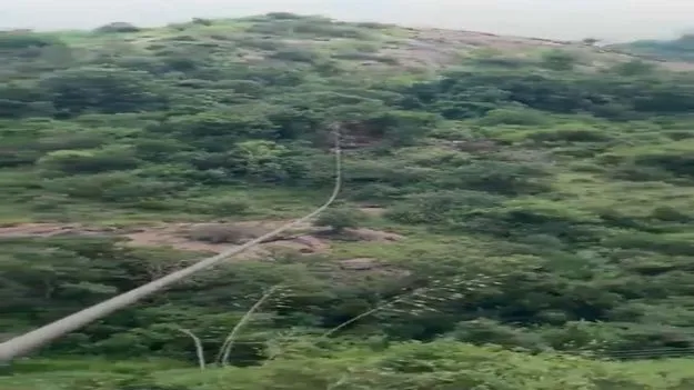 నగ..రవనం