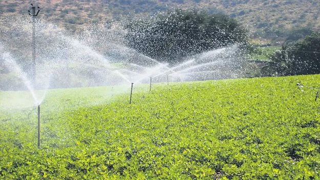 బిందు సేద్యం వైపు మొగ్గు