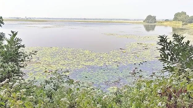 మేడవరపు చెరువు కబ్జా