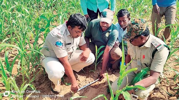 కొల్లాపూర్‌ ప్రజల్లో గుబులు 