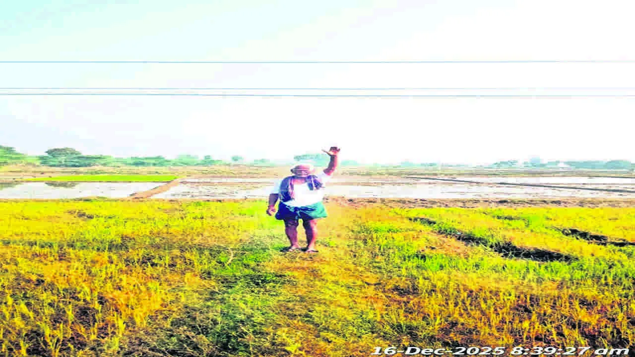 WIRES: ప్రమాదకరంగా విద్యుత తీగలు