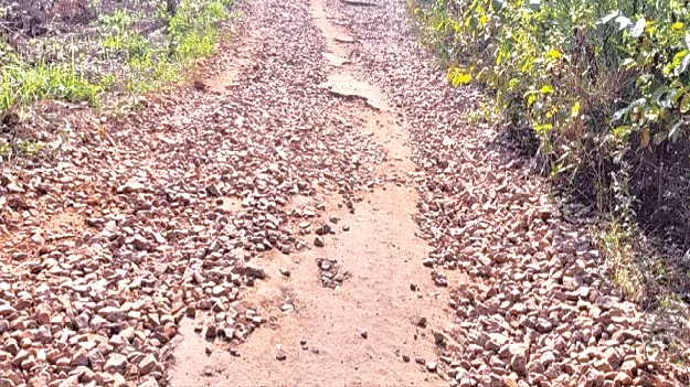 నాడు అధ్వానంగా..  నేడు అద్దంలా