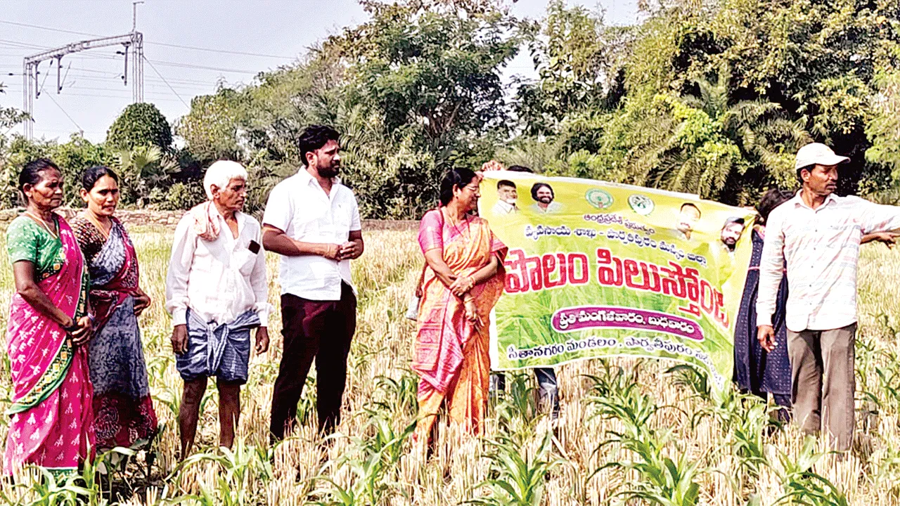 జీరో టిల్లేజ్‌పై రైతులకు అవగాహన