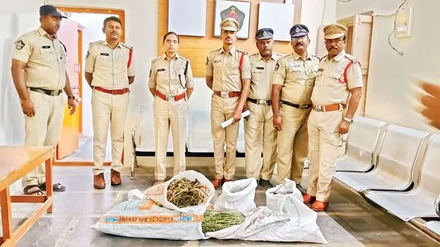     గంజాయి స్వాధీనం