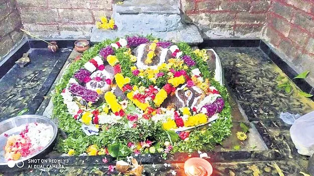 అనంత పద్మనాభుని దీపోత్సవం రేపు