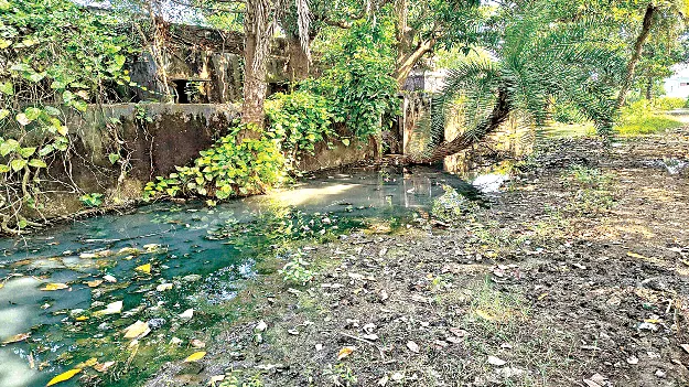 గ్రేడ్‌ పెరిగినా..