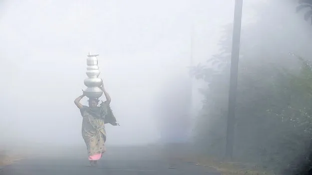 పది గంటలైనా వదలని పొగమంచు 