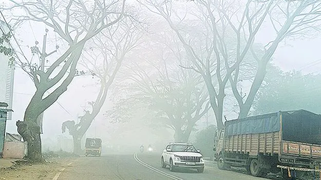 మన్యంపై మంచు దుప్పటి