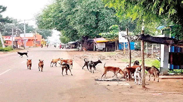 Will the control కట్టడి చేస్తారా?