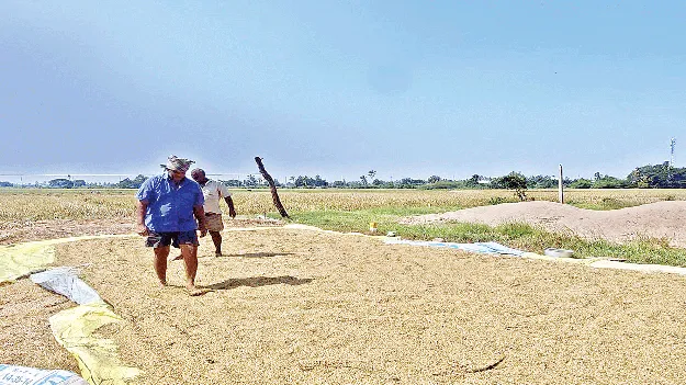 వాతావరణం