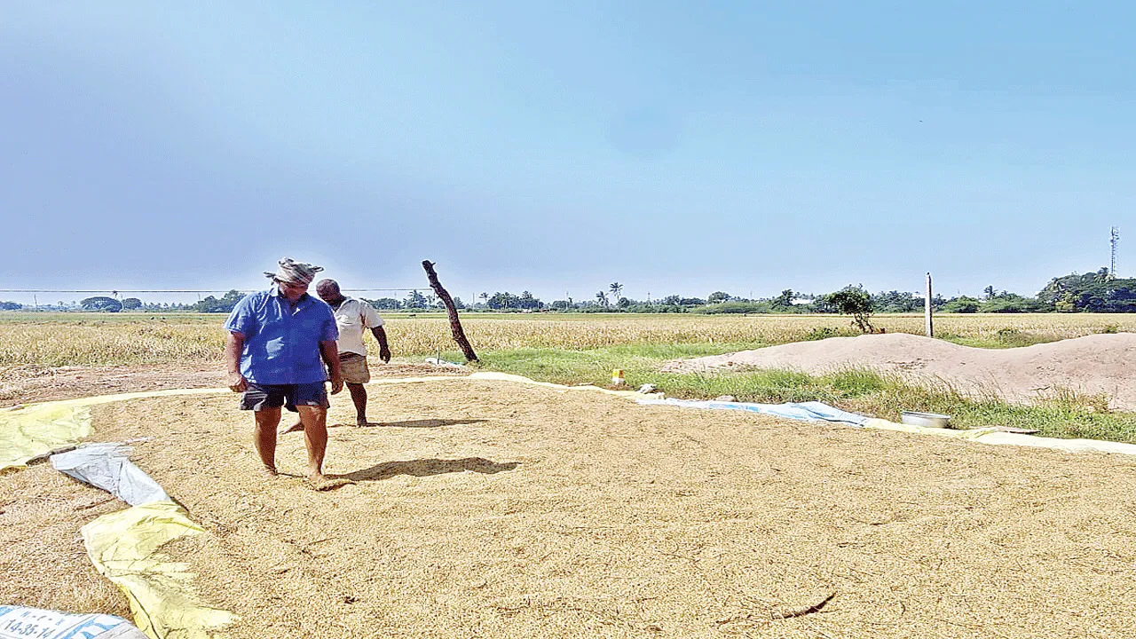 వాతావరణం