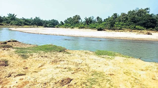 శారదా నదిలో ఇసుక పంట!