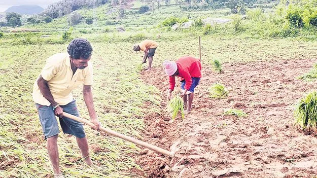 అన్నదాతకు సర్కారు సాయం 