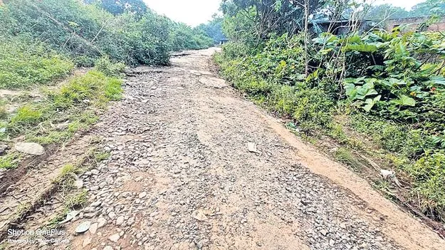 దారుణంగా గ్రామీణ దారులు