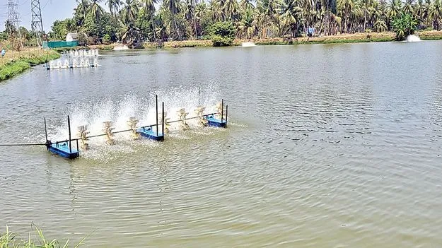 అప్సడా.. ఆపసోపాలు!