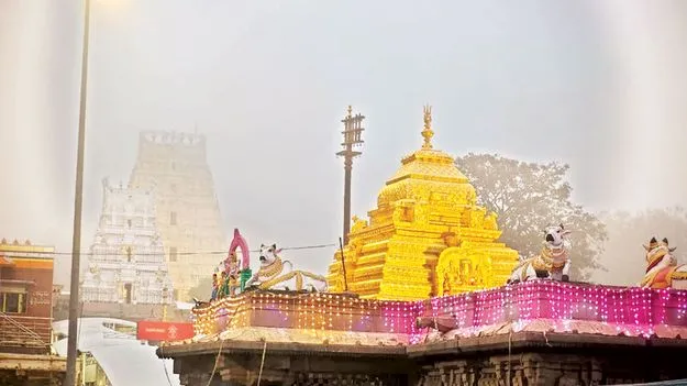    శ్రీశైలంలో చలి పంజా