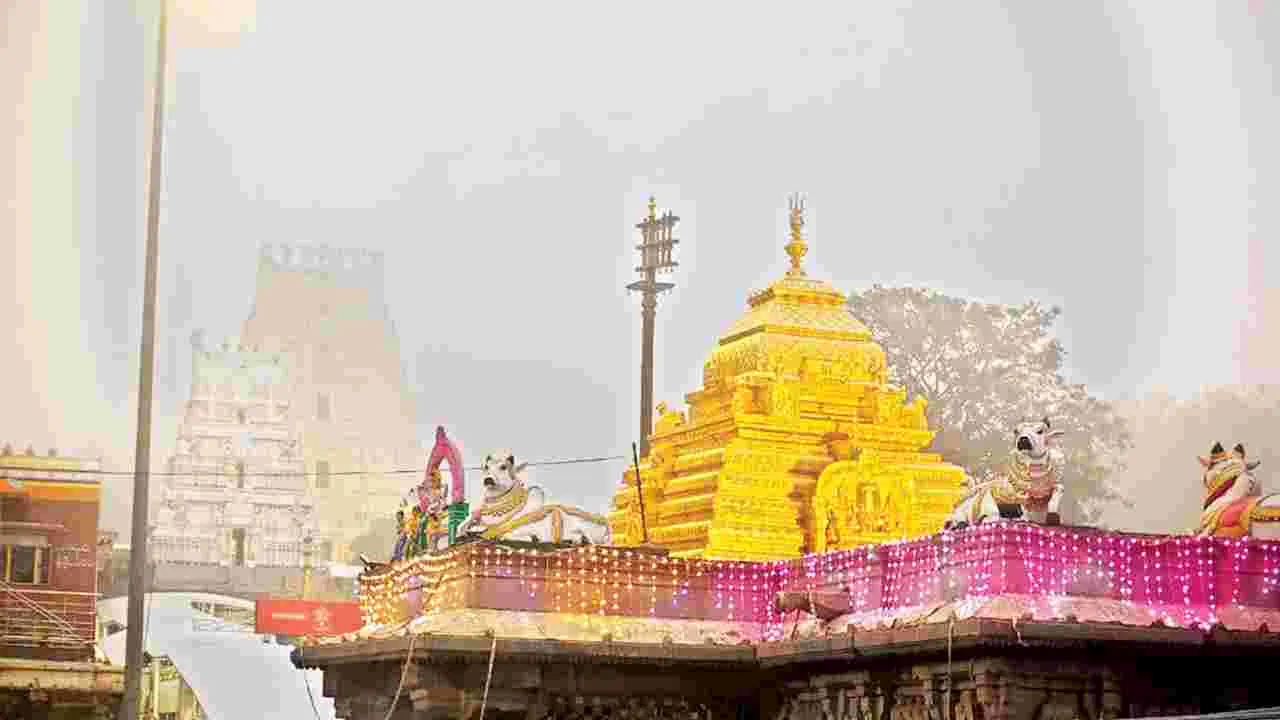    శ్రీశైలంలో చలి పంజా