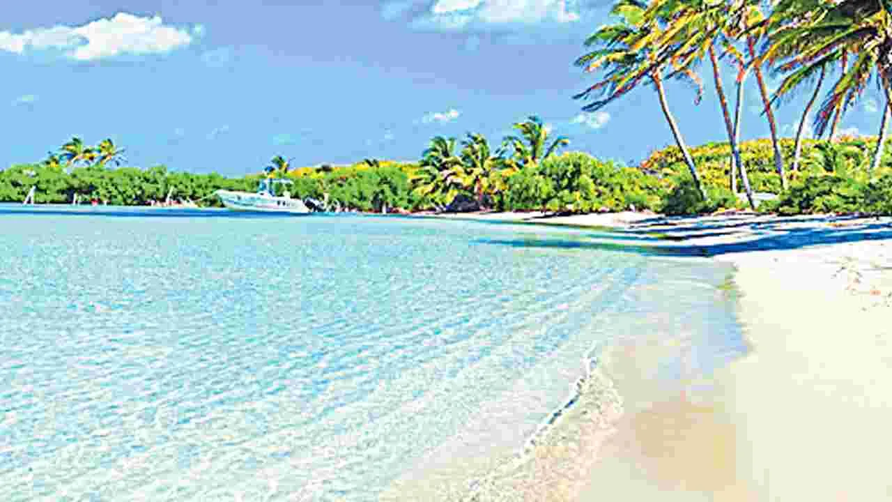 Artificial Beach: హైదరాబాద్‌లో బీచ్‌!