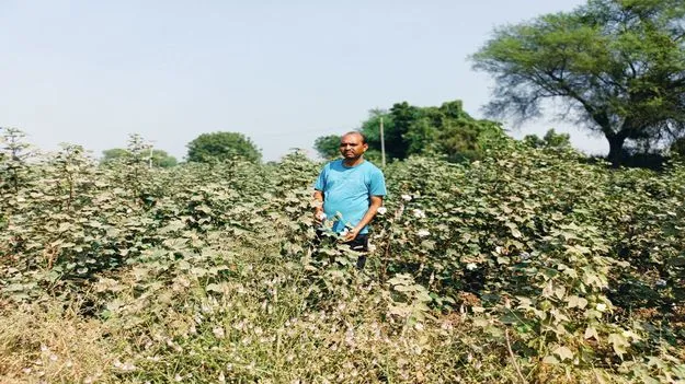 Peddapalli:  జాతీయ రహదారితో పనులతో పంటల విధ్వంసం