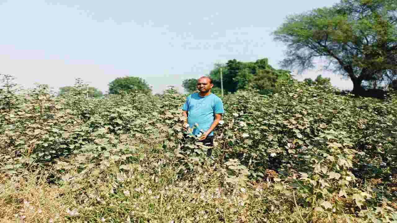 Peddapalli:  జాతీయ రహదారితో పనులతో పంటల విధ్వంసం