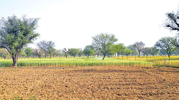 Prohibited Lands: ప్రజలకు తెలిసేలా నిషేధిత భూములు