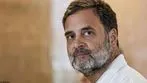 Rahul Gandhi : భేష్‌! మనం బాగా పని చేశాం! 