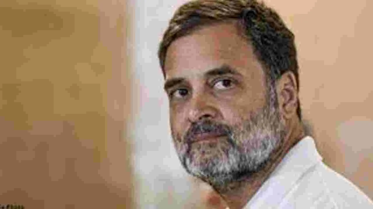 Rahul Gandhi : భేష్‌! మనం బాగా పని చేశాం!