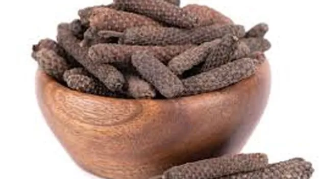 Long Pepper Compound Effective: పిప్పళ్లతో పెద్దపేగు క్యాన్సర్‌ అంతం!