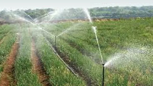 Neglect of North Andhra Irrigation Projects: ఉత్తరాంధ్ర ప్రాజెక్టులపై చిన్నచూపు!