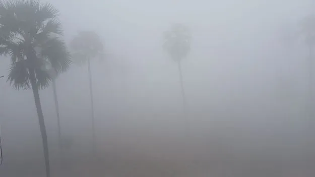 Dense Fog: పొగమంచు గుప్పిట..